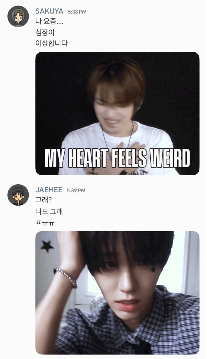 luv4yd_'s tweet photo. 위시랜드 디코 메세지!! https://t.co/pvzP09Xad8