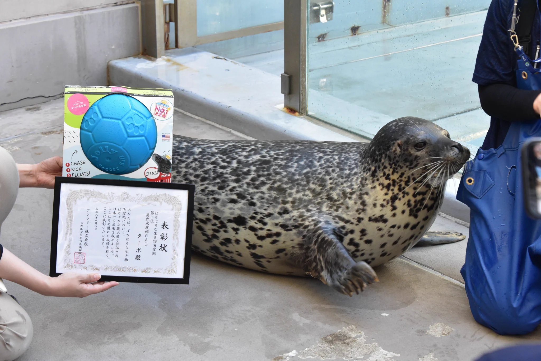 o1070-13 オルゴナイト シロクマさん　マザーオブパールなど 男鹿水族館GAO【公式】 on X: 