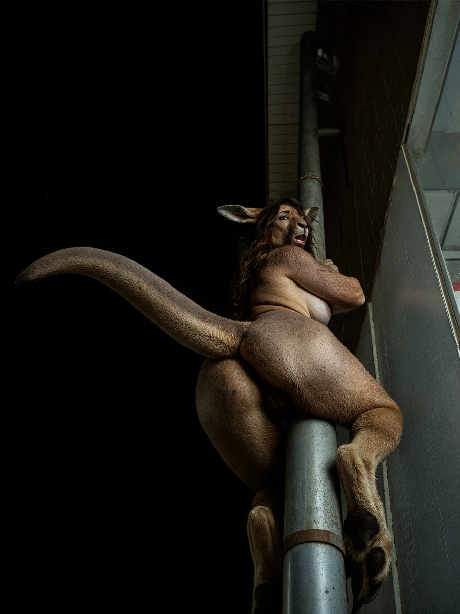 AnthratsInd's tweet photo. Not used to my own jump height #furryart #anthro #furry #tf #transformation #animaltransformation #kangarootf #kangarootransformation #anthrokangaroo https://t.co/nwBT0aWM9x