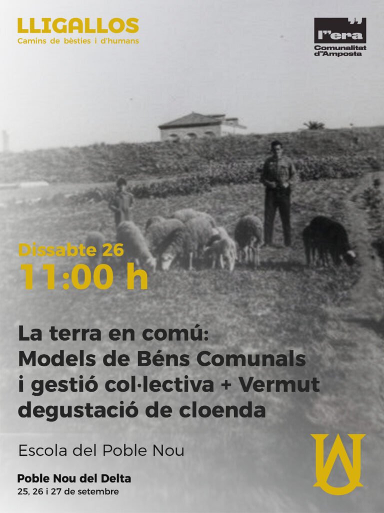 FundacioEmprius tweet picture