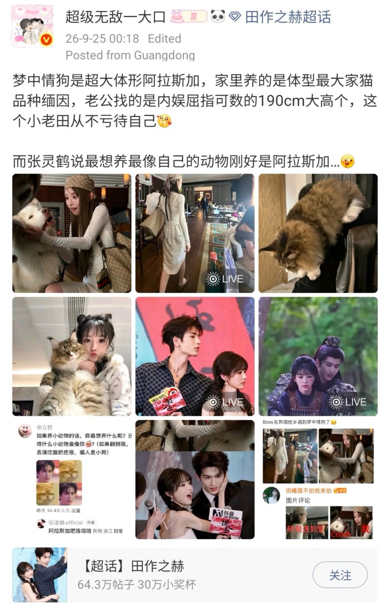 River19940423's tweet photo. 🍩ชอบอะไรที่ตัวใหญ่
อลาสกัน มาลามิวท์🐶
เมนคูน🐱
และ...

P2 เมื่อมีแฟนคลับถาม🐮ว่า ถ้าเลี้ยงสัตว์อยากเลี้ยงอะไร และสัตว์ตัวไหนเหมือนเขามากที่สุด

บังเอิญว่าคำตอบ...ก็คือสายพันธุ์เดียวกับที่🍩ชอบนั่นแหละค่ะ😁😁

รู้กันแค่ tzzh นะคะ อย่าส่งเสียงดัง🤣🤣 https://t.co/8COlX14YLp