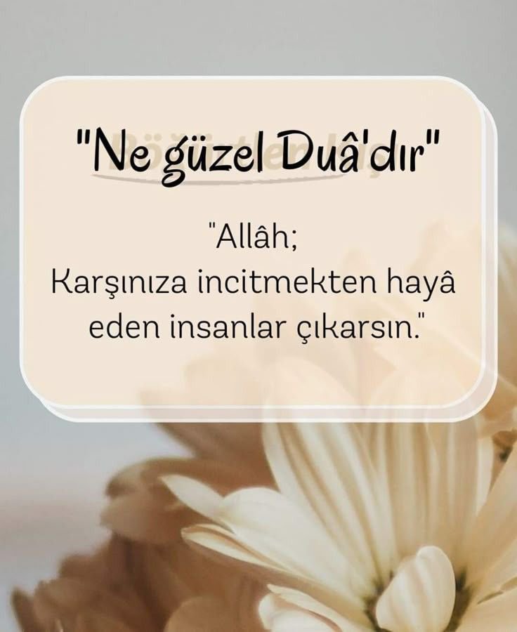 omerdogan_27's tweet photo. https://t.co/8guS0e833z