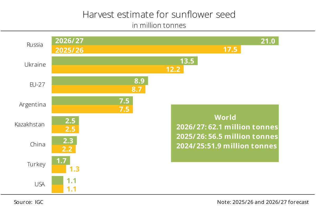 ufop_de's tweet photo. Chart of the week (39): Larger #harvests in Black Sea region boost global #sunflowerseedoutput. According to information published by the International Grains Council (#IGC), global production of #sunflowerseed could increase to 62.1 million tonnes in the 2026/27 season, representing a rise of approximately 10 per cent on the previous season. The main reason for this #growth is higher #production in the Black Sea region.
https://t.co/HJYrGzjlTY