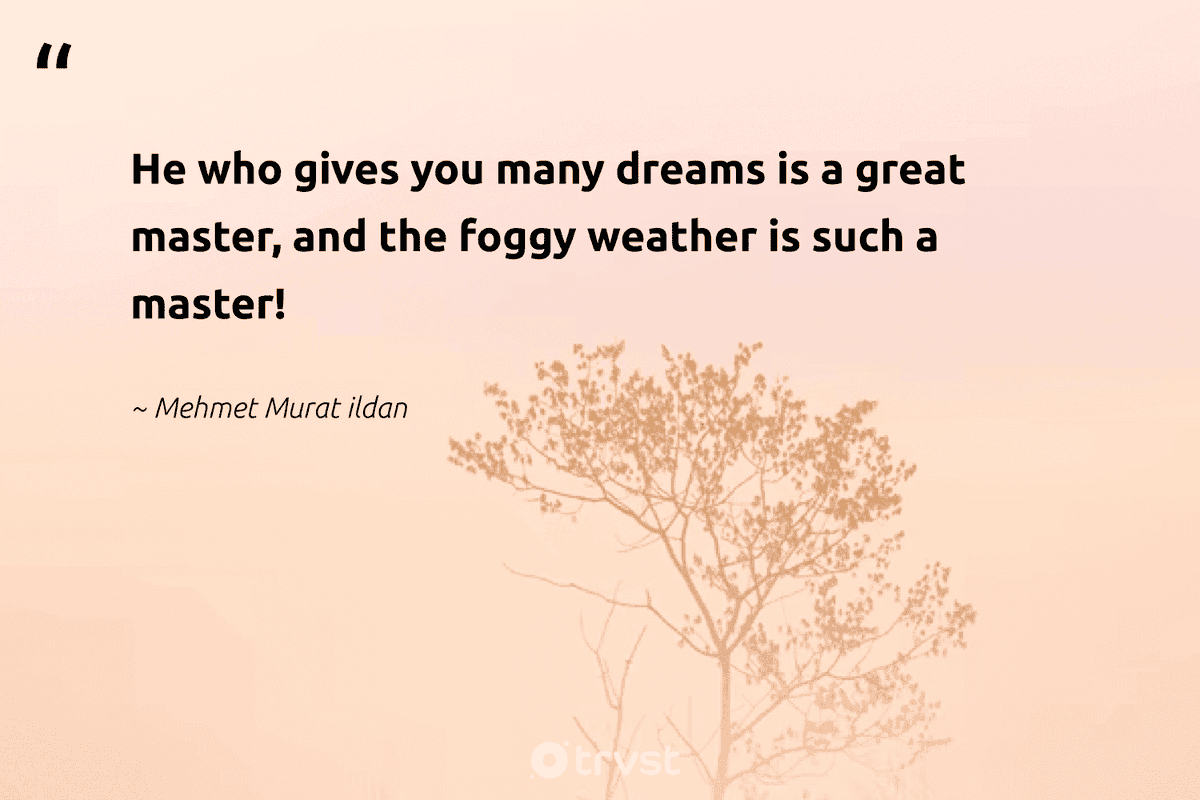ildanquotations's tweet photo. #mehmetmuratildan #dreams #fog #foggy https://t.co/2dOJ0CTIhH