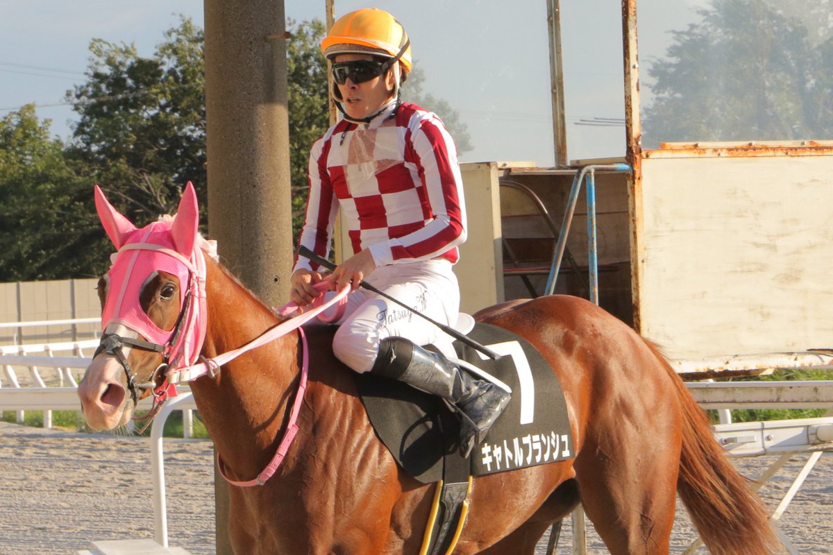 kasamatsukeiba's tweet photo. 第10回笠松競馬「ブルームカップ（SPⅢ）シリーズ」の全４日間が終了しました。
ご投票ご観戦、誠にありがとうございました❗️
次回の第11回笠松競馬「ネクストスター笠松シリーズ」は10月6日～9日の全4日間開催です❗️
どうぞお楽しみに😊 https://t.co/hxU9Z6N9qE