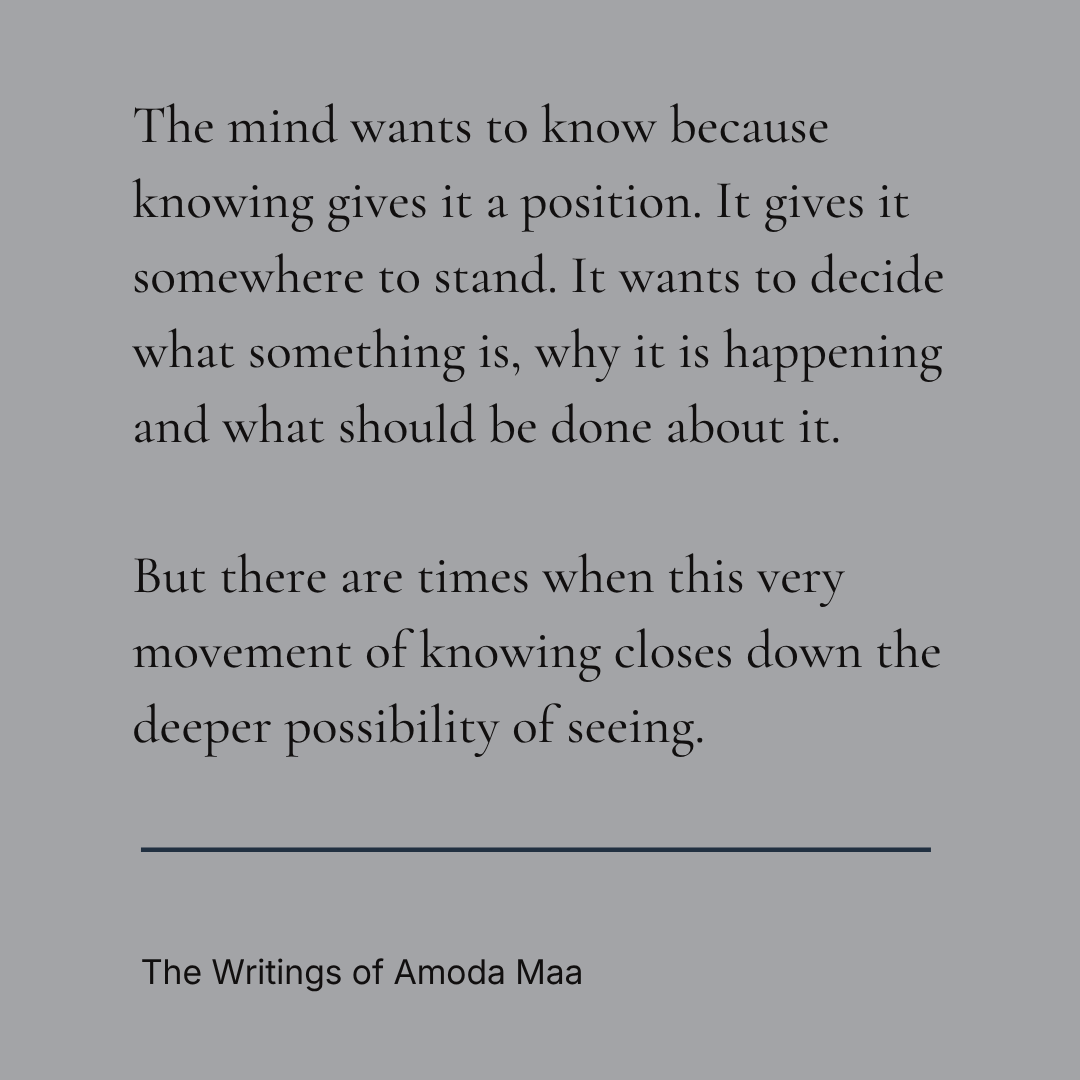 AmodaMaa's tweet photo. The mind wants to know because knowing gives it a position. It gives it somewhere to stand. It wants to decide what something is, why it is happening and what should be done about it. 

But there are times when this very movement of knowing closes down the deeper possibility of seeing. 

Not knowing is not ignorance, and it is not confusion. It is an openness in which the mind is no longer rushing ahead of experience. 

It is the willingness to remain with what is here without insisting that it conform to an explanation. In this openness there is space for another kind of intelligence to reveal itself, one that does not come from analysis but from a more intimate contact with life as it is.