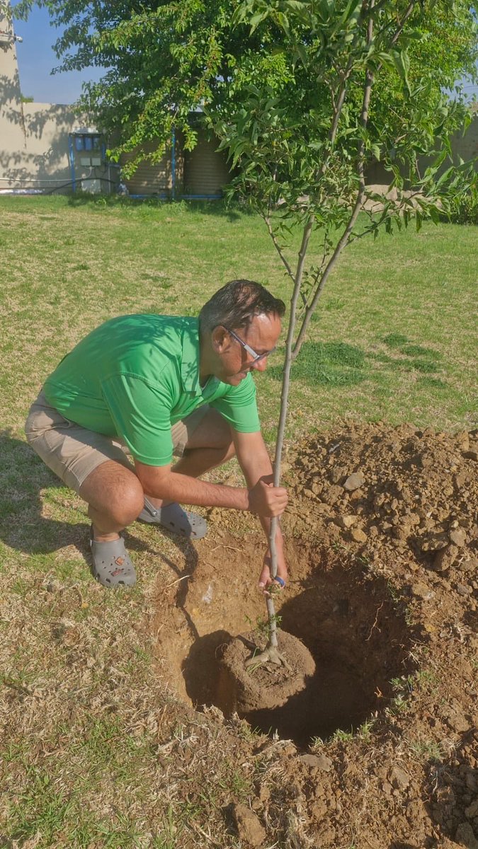 SAFCOL_SOC's tweet photo. Our Executives led by example in the #1BillionTrees Programme. Acting CEO, spearheaded the tree-planting initiative at Mbombela; Executive: Strat &amp; Commercial planted trees in his community. A special shout-out to the Executives who purchased trees for the Team to plant. https://t.co/Gt87LbL8Lv