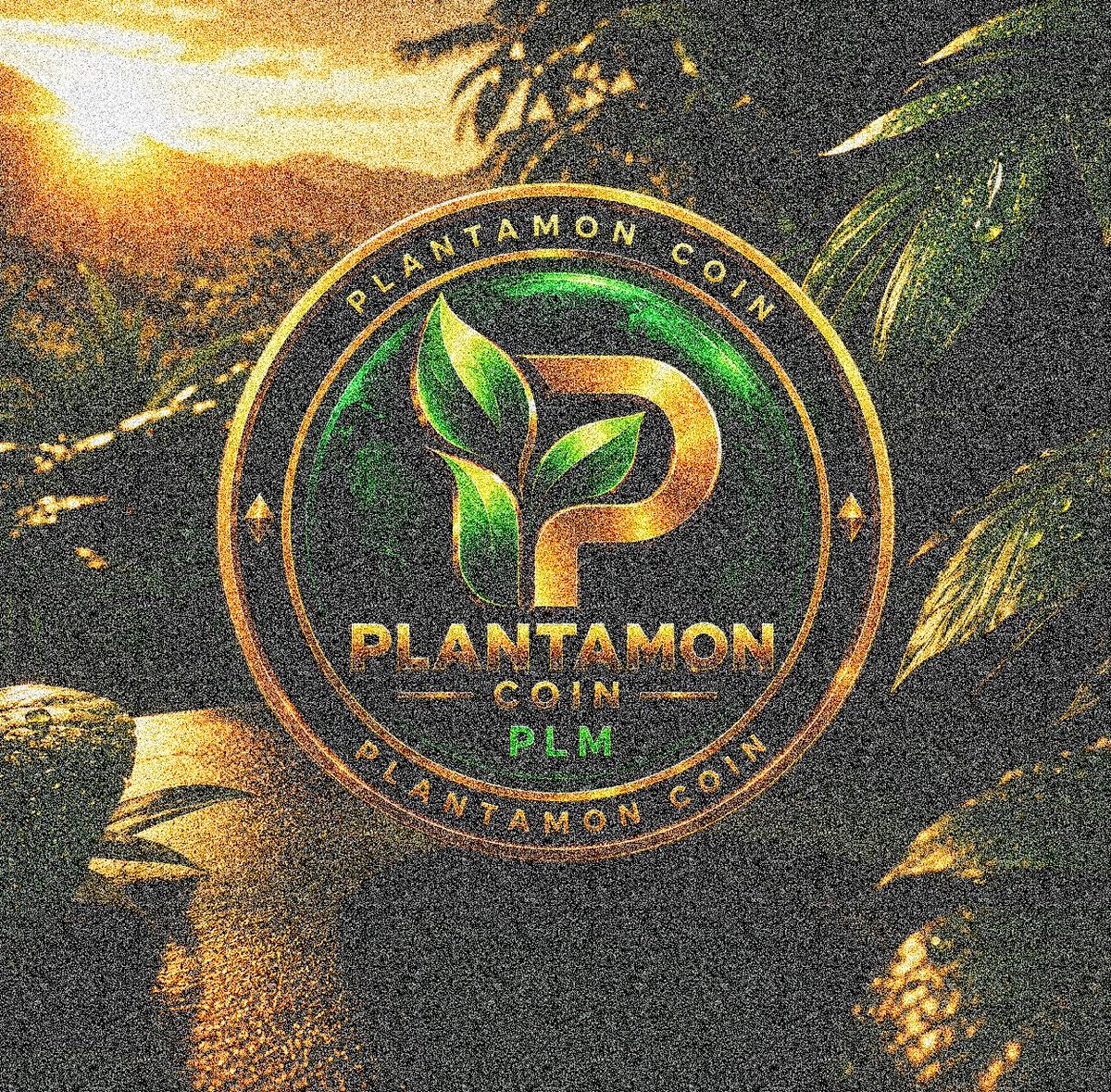 PLM_COIN's tweet photo. Good morning, PLM family! ☀️💚

New day, new energy, same vision. 🌱🚀
Keep building. Keep growing. Keep PLM.

Follow the journey and don’t miss what’s coming. 👀🔥

#PLM_COIN #Plantamon #Crypto #Web3 https://t.co/8ksFAlXhuI
