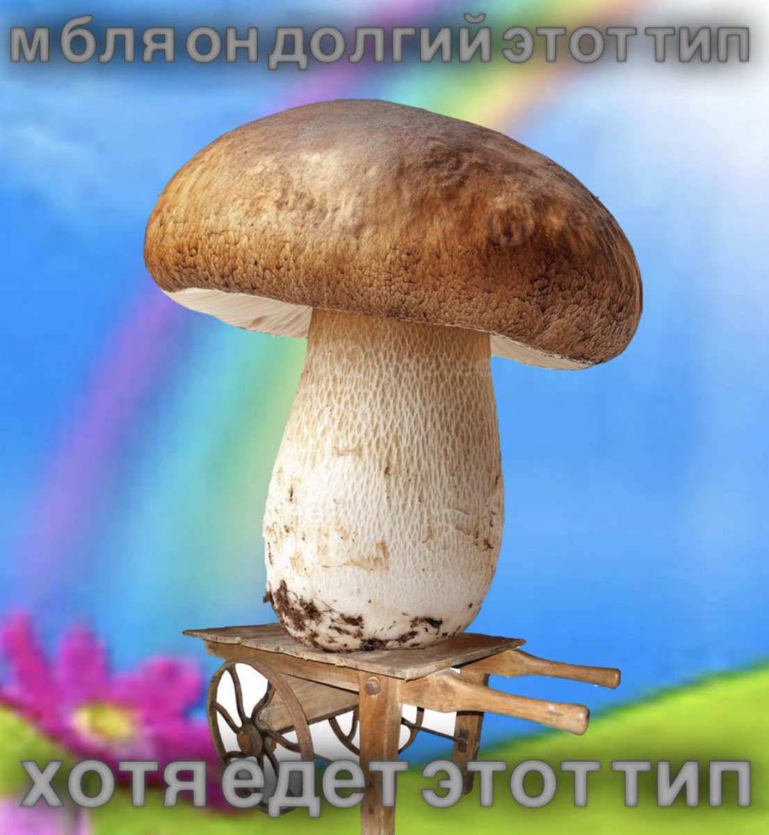 wh0re_members's tweet photo. сегодня мне приснился такой мем https://t.co/BKcNWkHG1M