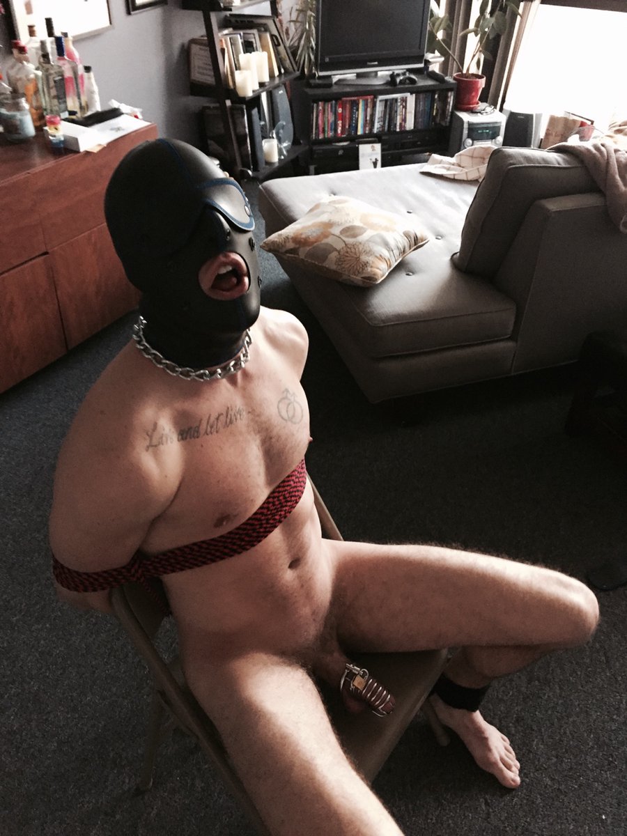 ChastitySubMpls's tweet photo. #Locktober  #Locked #TeamLocked #Chastity #GayChastity #MaleChastity #CockCage #Bondage https://t.co/GOWJL6o0o5