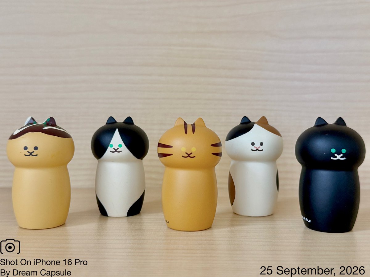 dreamcapsuleCEO's tweet photo. 🌟新入荷ガチャ商品プレゼントCP🌟

猫ちゃんのひげを差して飾れる🐾
「ねこのこけし」

フォロー&amp;RP(RT)していただいた方の中から抽選で2名様に全5種セットをプレゼント🎁

ドリカプへの入荷日とキャンペーン詳細は↓

#ドリームカプセル #ガチャ専門店 https://t.co/PxVsgJm3rV
