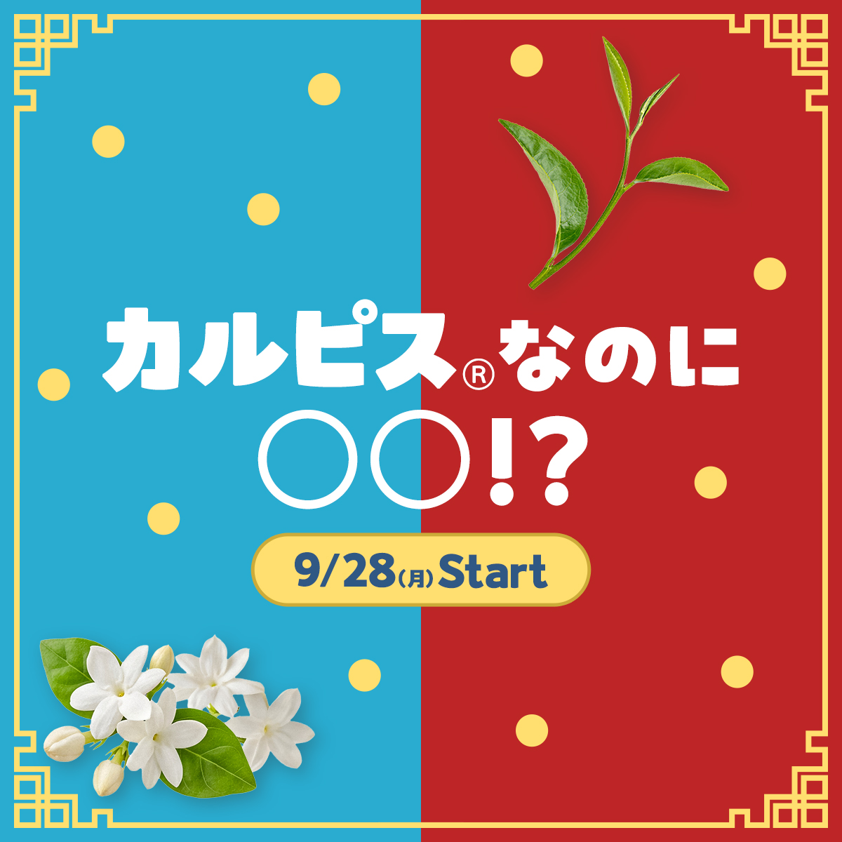 calpis_mizutama's tweet photo. 「カルピス」なのに…〇〇!?

まさかの組み合わせが9/28(月)に新発売👀

みんなの予想をコメントで教えて！💬 https://t.co/TATRt53C46