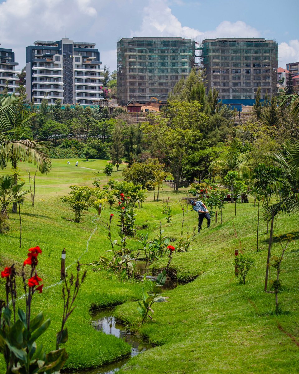 Rwanda_Sports's tweet photo. The greens are calling! ⛳️🇷🇼

Day 2 of the #RwandaOpen2026 is underway at Kigali Golf Resort &amp; Villas. More great golf, more action, and more moments to enjoy! 🏌🏾‍♂️

#RwandaSports https://t.co/GwrWTbXW3p