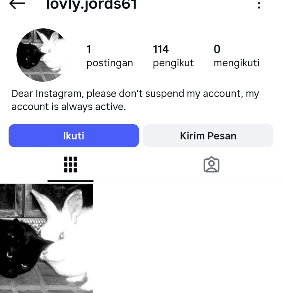 gedndut's tweet photo. MENCARI AKUN INSTAGRAM RECEHAN? 
🍀 Aku ready ya acc ig nya f100
- folls innactive! 
- pembuatan Agustus 2025 (no logo new)
Harga? 13k saja! 

#zonauang acc account ig jual beli wts wtb sell selling old https://t.co/YrVqLuIEK2