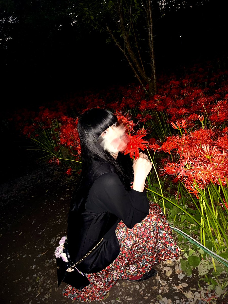 kizuna_ARC's tweet photo. 明日居ますが
会える方いますか…？

初の彼岸花見に行った https://t.co/vRLF5KKn6a