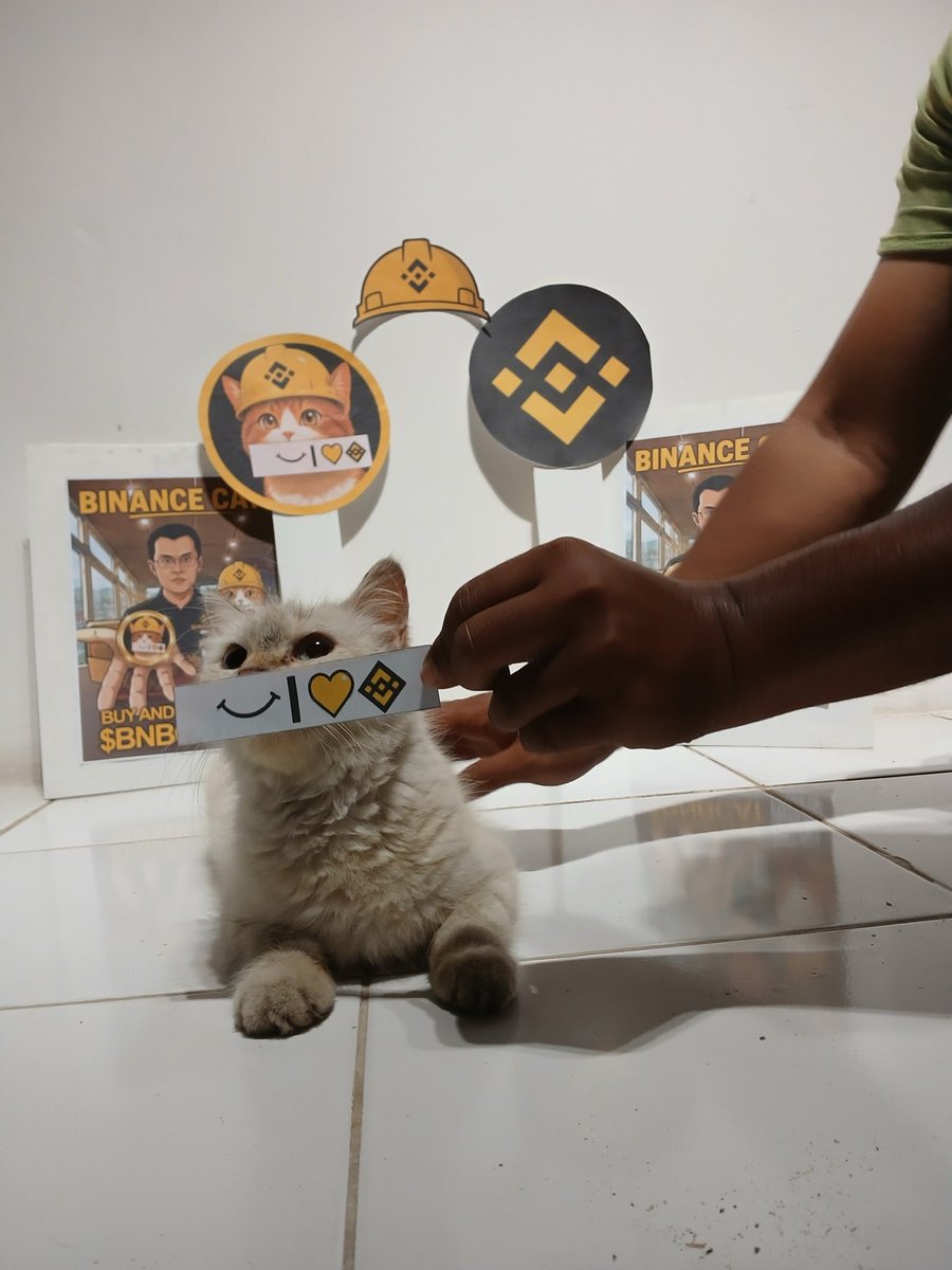 Shivarajkhumar's tweet photo. @BinanceCat_x 🔥 $BNBCAT https://t.co/J933ehB8ps