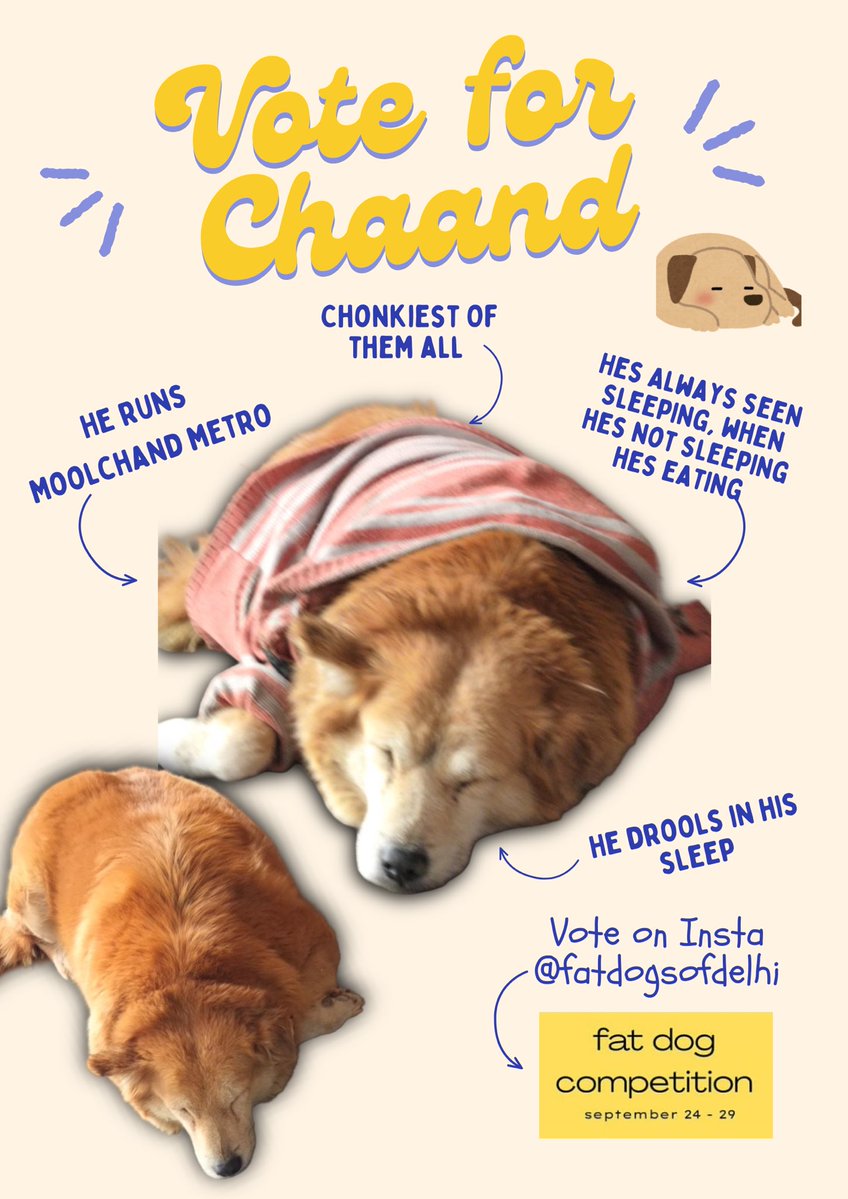 happiestsoull's tweet photo. EVERYONE PLEASE VOTE FOR CHAAND MY BABY #fatdogsofdelhi https://t.co/Bo4y9l21lO