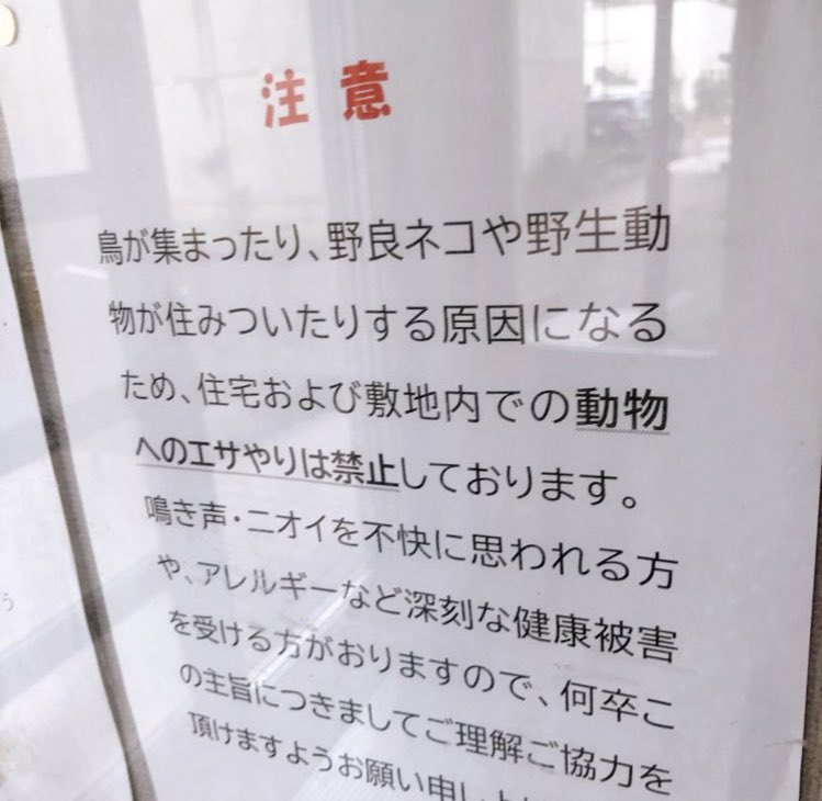 kisaran_n's tweet photo. #鍋は貧乏スープと断言する女が低所得者物件ペット飼育禁止市営石山団地B11の9階と6階にいる と話す人がチラホラ https://t.co/qXBvmkT1dp