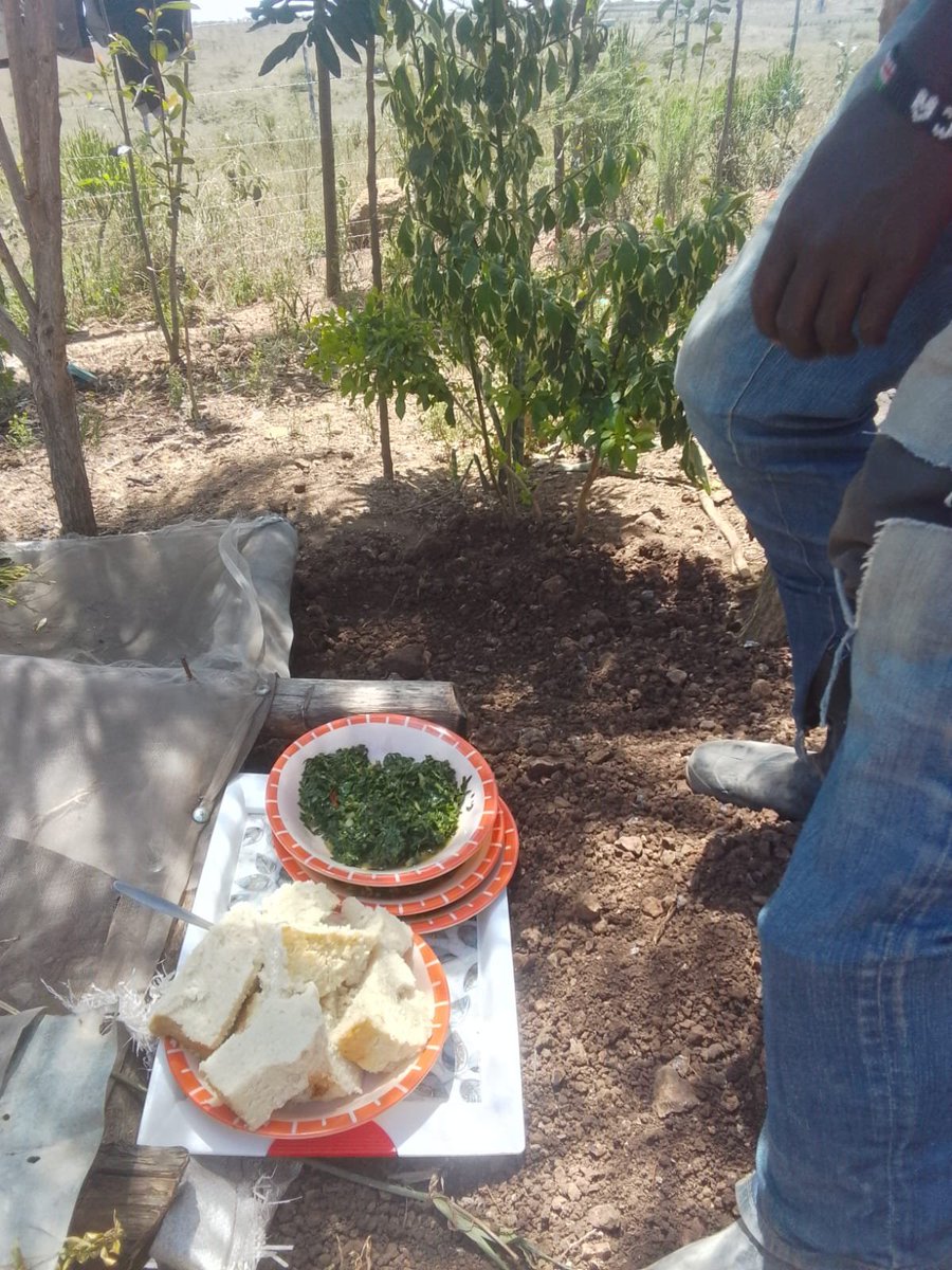 Just_serah_tea's tweet photo. What are guys having for lunch please 🙏 https://t.co/vZNAowRw3P