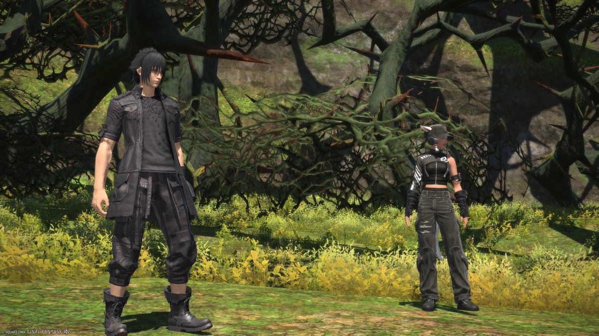 LeyFeyLya's tweet photo. Collab #FFXV manques plus que les PGS pour la voiture 😭

#FFXIV #FF14 https://t.co/PPIWZ3a04u