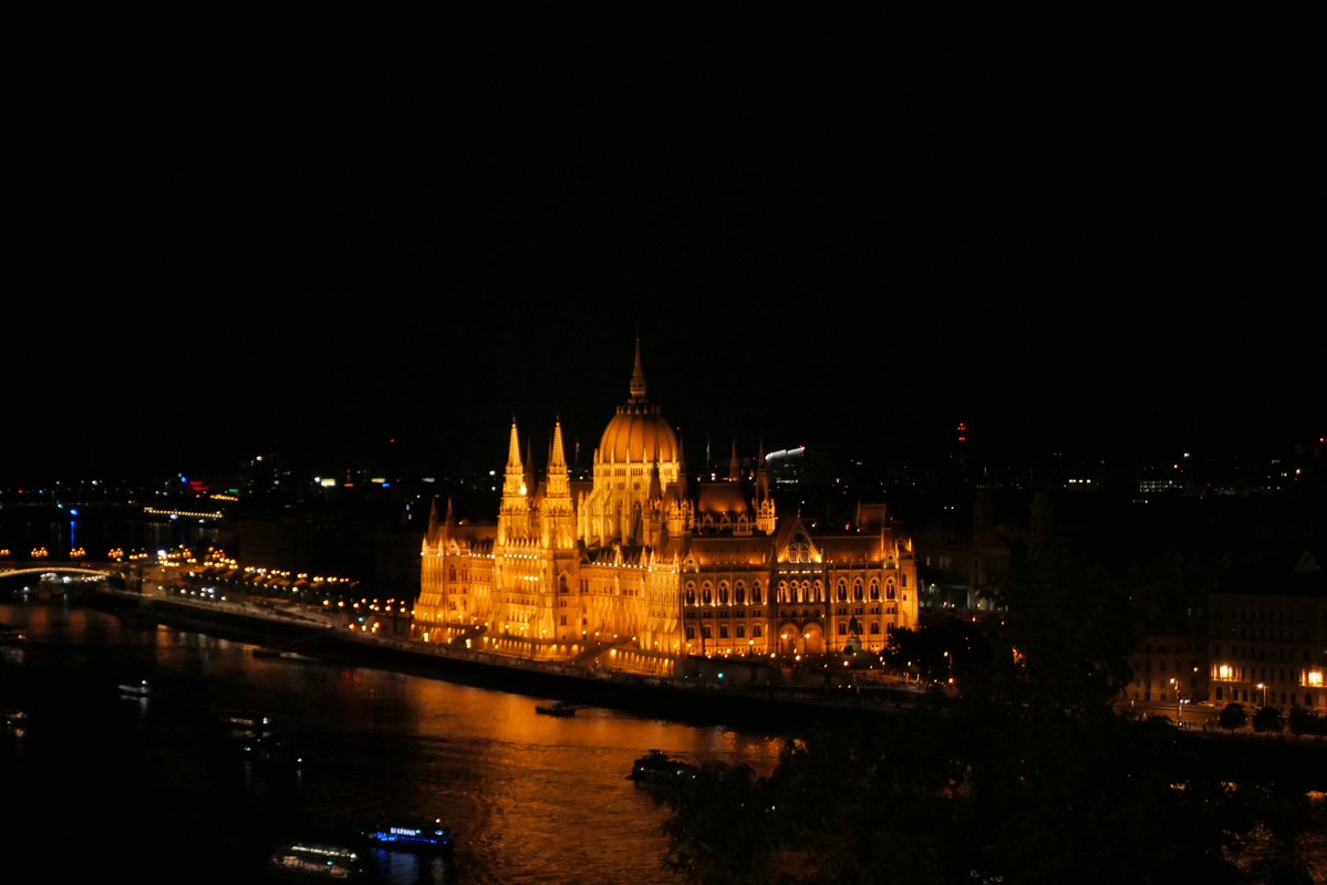 tripnfilm tweet picture