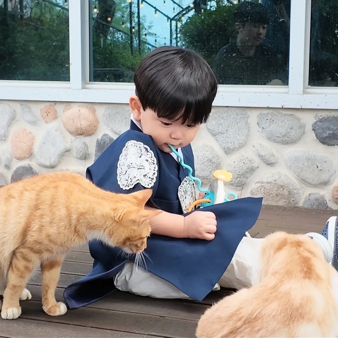 meowstpdf's tweet photo. องค์ชายน้อย ห้ามเสวยแมวนะเพคะ https://t.co/O3BUXdCF6u