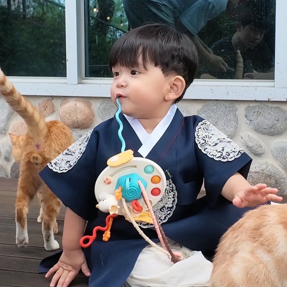 meowstpdf's tweet photo. องค์ชายน้อย ห้ามเสวยแมวนะเพคะ https://t.co/O3BUXdCF6u