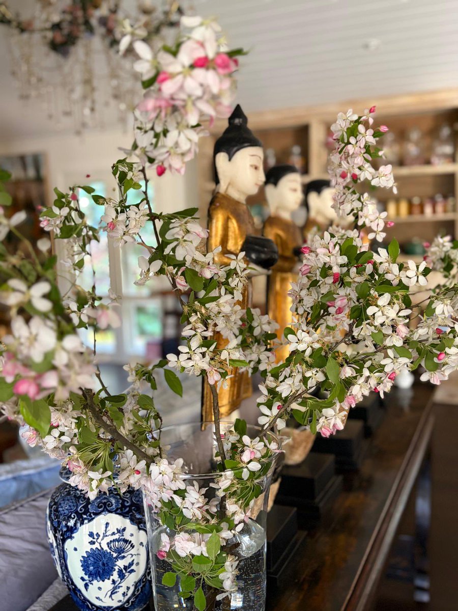 JimmyBarnes's tweet photo. It’s been a tough week, and I’m thankful to be back home by the river. The garden is spectacular, particularly the row of crab apple blossom. Enjoy your weekend. https://t.co/5M837hw65f