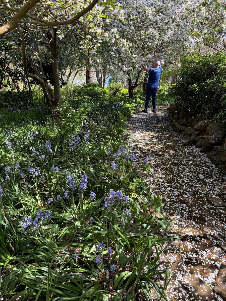 JimmyBarnes's tweet photo. It’s been a tough week, and I’m thankful to be back home by the river. The garden is spectacular, particularly the row of crab apple blossom. Enjoy your weekend. https://t.co/5M837hw65f