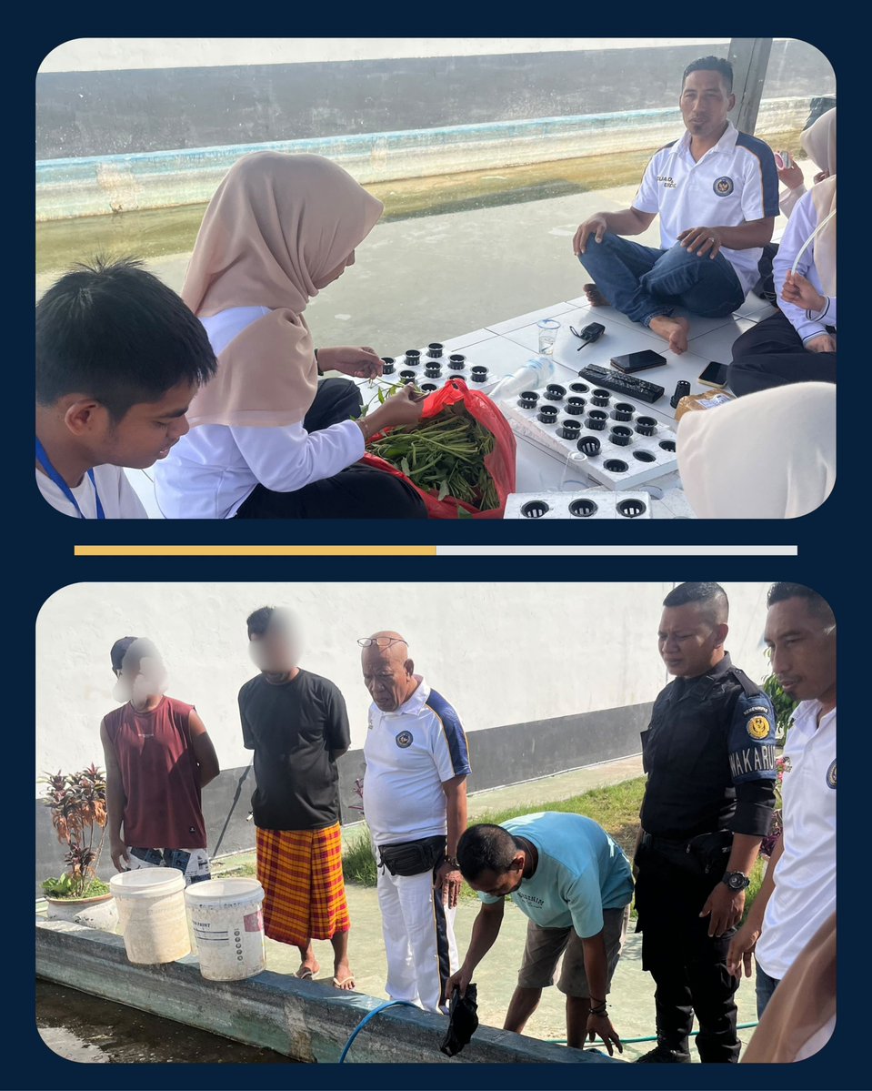RutanRaba's tweet photo. Rutan Raba Dorong Kemandirian WBP melalui Budidaya Lele dan Kangkung Sistem Aquaponik

#Kemenimipas #AgusAndrianto #DitjenPAS GunGunGunawan #KetutAkbarHerryAchjar #DitjenPASNTB RBKunwas https://t.co/tLxjCjJBgp