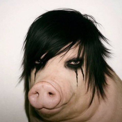 ryohaein's tweet photo. 오랜만에 사촌동생 봤는데 너무 많이 컸더라 https://t.co/FP9jX2KwEb