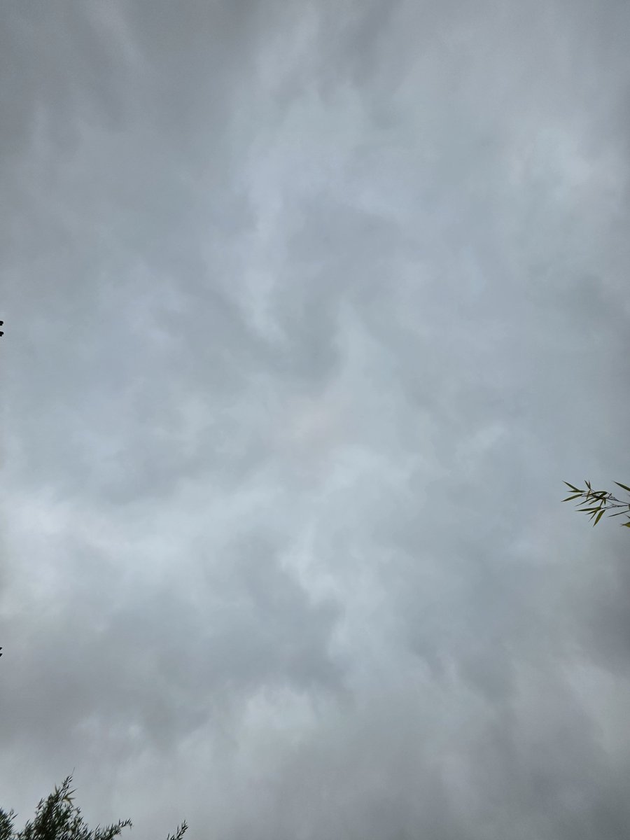 Demo2020cracy's tweet photo. Well well well "light cloud" is back after yesterday massive spraying session https://t.co/lBVp61Iivc