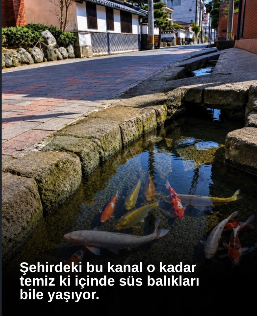 cnspvlNil's tweet photo. UTANMASI OLMAYANLARA….

Hacetini gidermek için sokağın kuytusunu seçen, ardından geriye idrar kokusu bırakan…

Rahat rahat tüküren…

Bir mağazada, kafede ya da restoranda çalışan insanları “nasıl olsa onlar temizler” diye gören; gittiği yeri kirletmeyi, bir başkasının emeğini hiçe saymayı kendine hak gören…

Saygıyla eğilmeyi bırakın, sosyal medyada klavyesinin arkasına saklanıp öfkesini, hakaretini ve nezaketsizliğini sergileyen…

Ve en acısı; ibadethaneleri, abdesthaneleri bile temiz ve özenli bırakmayı başaramayan “Müslüman ülkem”…

Sonra Japonya’yı görünce hayranlıkla bakıyoruz:
Temizlik, düzen, saygı, başkasının emeğine duyulan özen, ortak yaşam bilinci…

Bunların hiçbiri mucize değil.
Bir milletin karakterine doğuştan yüklenmiş özellikler de değil.

Öğrenilmiş davranışlar.
Günlük hayatta tekrar edilen tercihler.

Oysa değişim; büyük sözlerle, sosyal medyada öfke kusmakla ya da başka ülkeleri övmekle başlamıyor.

Yere çöp atmamakla, tükürmemekle, kullandığın yeri senden sonra gelecek insana temiz bırakmakla, çalışanı kölen değil insan olarak görmekle, ibadethaneye girerken gösterdiğin saygıyı oradan çıkarken de göstermekle başlıyor.

Önce birbirimize ve yaşadığımız yere saygı duymayı öğrenelim.

Çünkü medeniyet, başkasının seni izlediği yerde değil; kimsenin seni görmediği yerde nasıl davrandığındır.