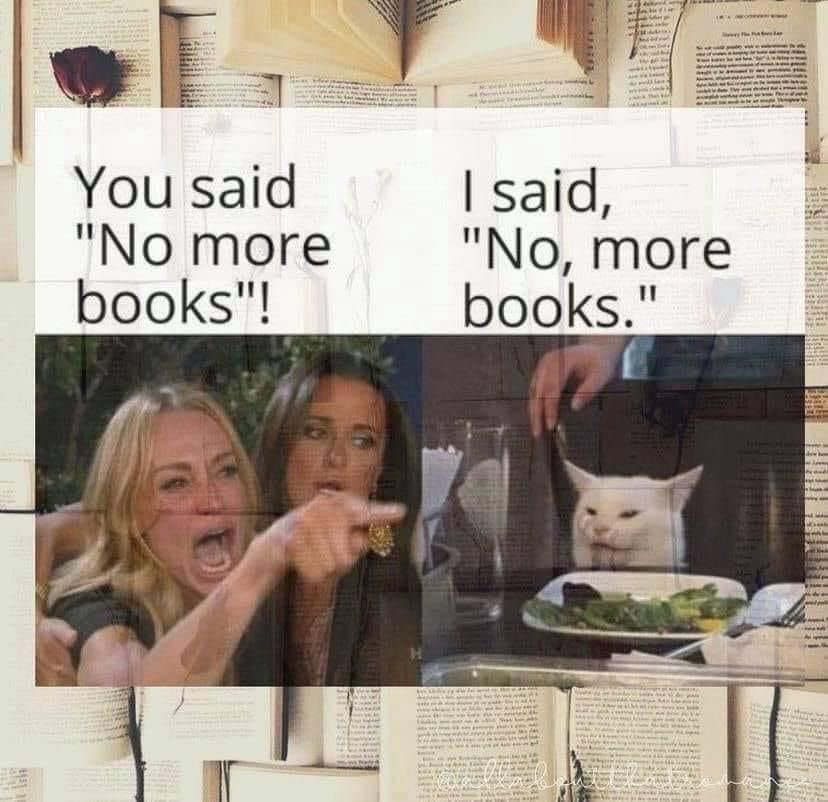 Briellefine's tweet photo. No, more books😅 https://t.co/xE69jk5aF6