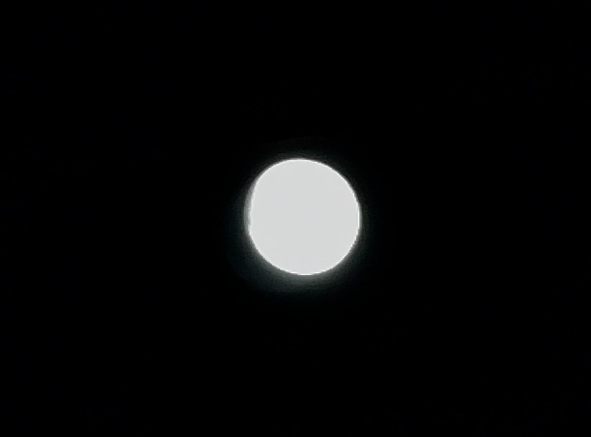nocchi0717's tweet photo. 月がよく見える🌕
中秋の名月かー。酒が美味くなるなー。 https://t.co/nvMslF2E3w