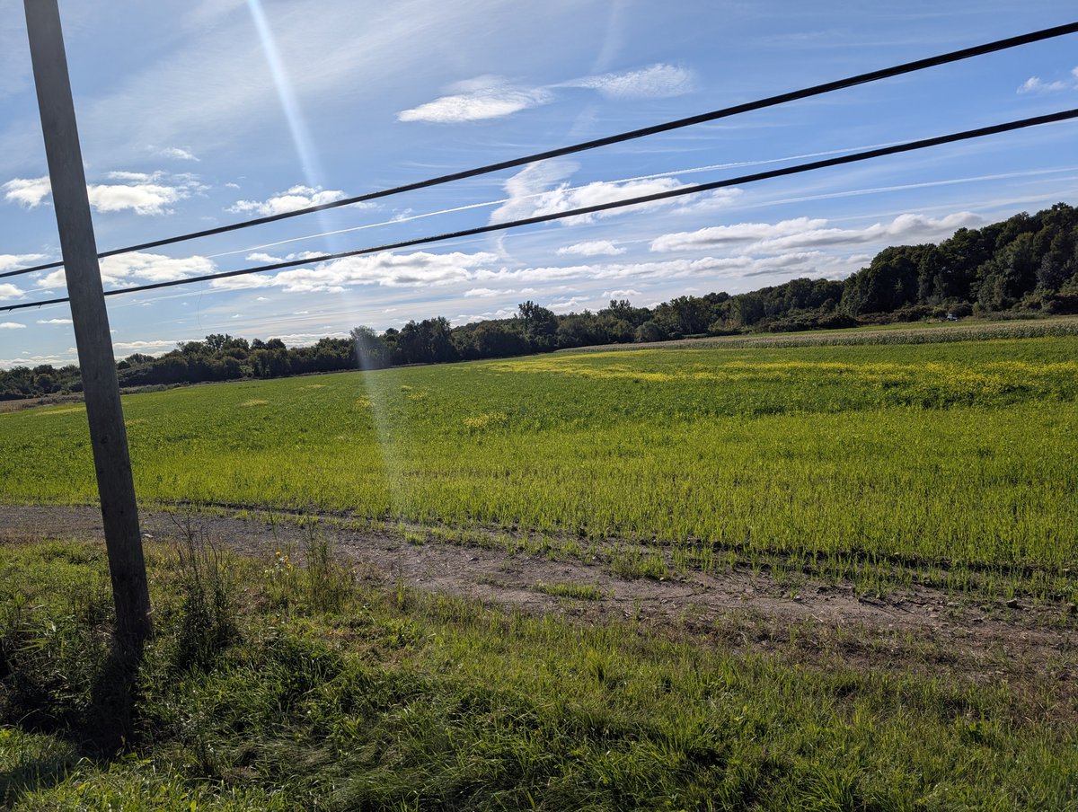 moldykody's tweet photo. Monday I walked for an hour and a half to go back home cause I didn't wanna stay at school and I took this beautiful picture just in case it would be my last. I have the cardio of a dying grandma and I thought I was boutta collapse https://t.co/DdNmfSd58j