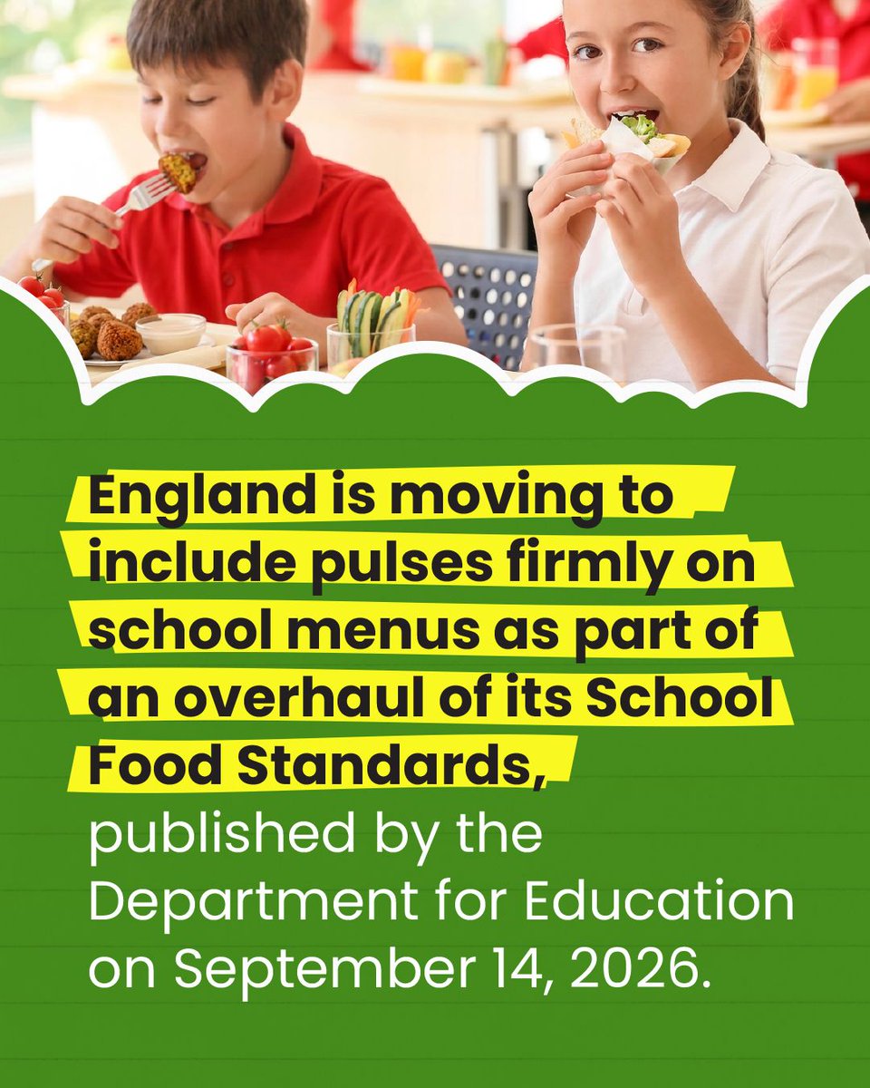 GlobalPulsesGPC's tweet photo. Beans, lentils and chickpeas are set to become a regular feature of school meals in England, with new standards requiring them at least once a week. The rules also expand their role as a protein source, including in vegetarian options. 

https://t.co/rcJMx83P8X

#GPC #Pulses https://t.co/a9WpZS6JDX