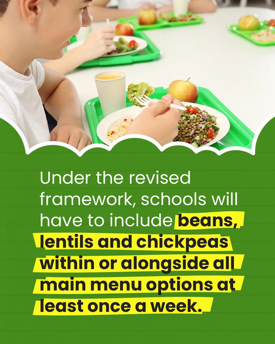 GlobalPulsesGPC's tweet photo. Beans, lentils and chickpeas are set to become a regular feature of school meals in England, with new standards requiring them at least once a week. The rules also expand their role as a protein source, including in vegetarian options. 

https://t.co/rcJMx83P8X

#GPC #Pulses https://t.co/a9WpZS6JDX