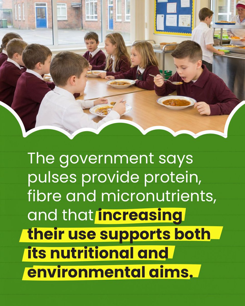 GlobalPulsesGPC's tweet photo. Beans, lentils and chickpeas are set to become a regular feature of school meals in England, with new standards requiring them at least once a week. The rules also expand their role as a protein source, including in vegetarian options. 

https://t.co/rcJMx83P8X

#GPC #Pulses https://t.co/a9WpZS6JDX