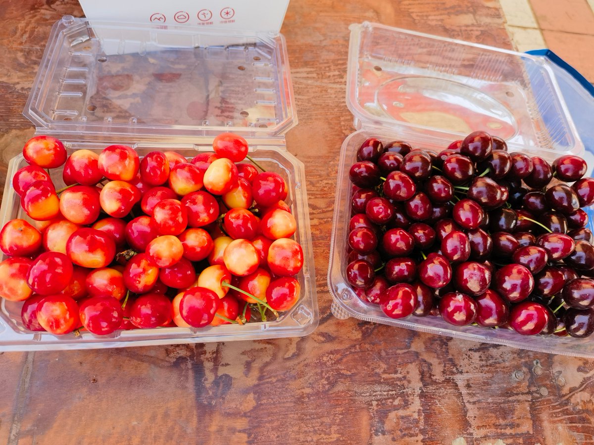 LaurelPerilak's tweet photo. Just brought extra homemade chocolate chip cookies for my neighbors! Knocked on doors, got warm smiles u0026 one new friend who shares her fresh cherry tomatoes. Neighborhood wins ， https://t.co/pm6ZC4wTpq