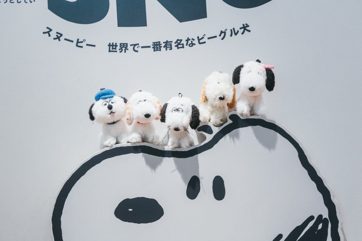 snoopy_m_tokyo's tweet photo. \ 企画展「Siblings are Wonderfulきょうだいって、いいな」開催中✨ /

「ピーナッツ」に登場する個性豊かなきょうだいにフォーカスし、それぞれの特徴や関係性を描いた作品が展示！

個性的なキャラクターが多数登場する「ピーナッツ」では、きょうだいたちの関係性もユニークです。
スヌーピーには5匹のきょうだいたちがいます。砂漠に住むスパイク、丸ぽちゃのオラフら、6匹のきょうだいたちはあちこちで時折再会し、話に花を咲かせます。
きょうだいは、ケンカしたり、すれ違ったりもしますが、困った時には頼りになります。約45点のコミック原画・複製原画を通じて、親しみを覚える選りすぐりのエピソードをお楽しみください。

本展では、シュルツ美術館の所蔵となって以来、これまで公開されていなかったコミック原画15点を含む、貴重な作品を展示します。

スヌーピーミュージアムで、原画や創作体験を通して、「ピーナッツ」が育んできた世界を知り、味わってみてください。
https://t.co/uvvkwaz4sb