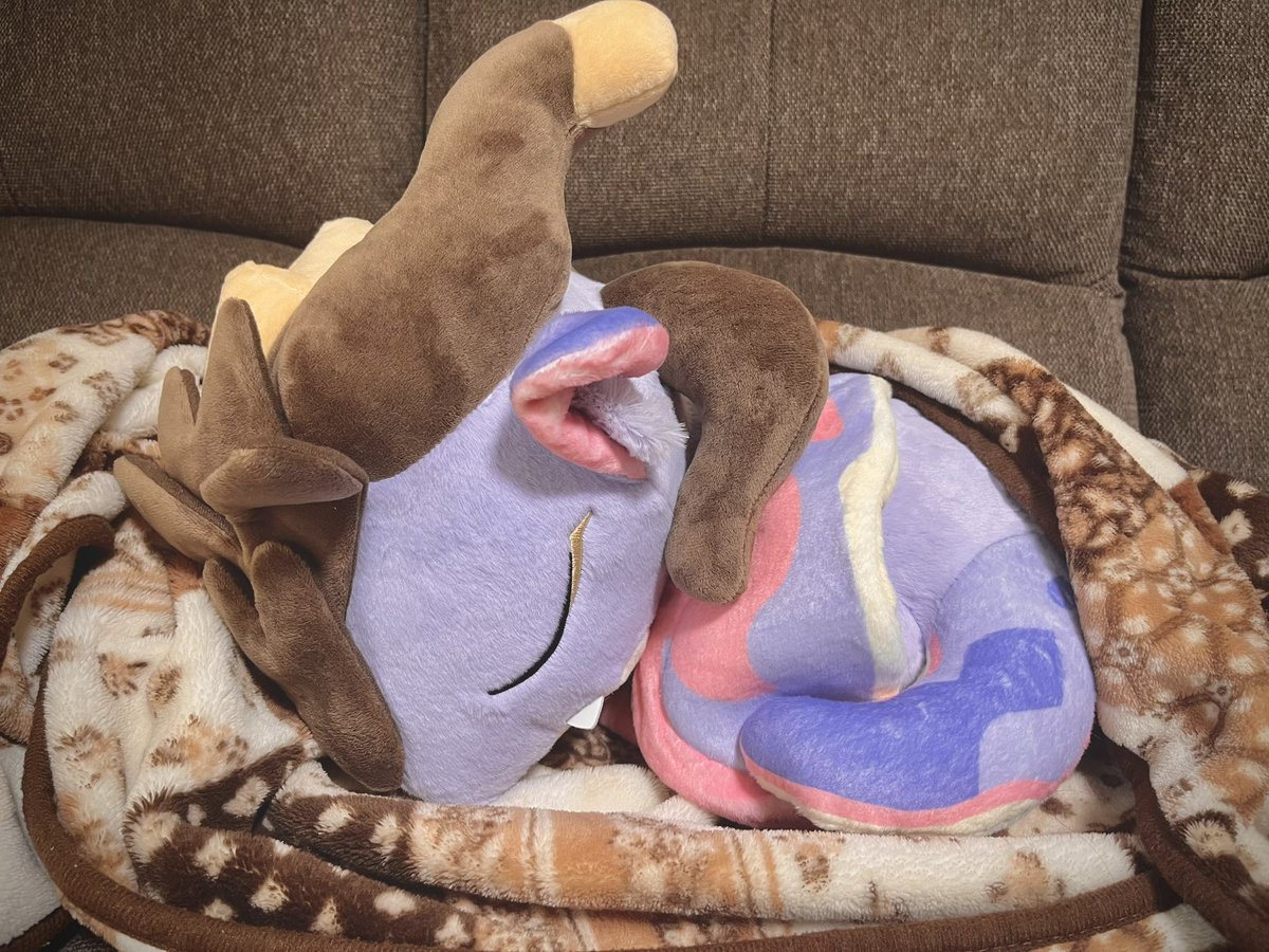 Nagato_elys's tweet photo. ドゥリンちゃんかわいいね！！！！
起こしちゃ可哀想…という気持ちのもと自然とひっそりしてしまう。かわいい。 https://t.co/qXsva8ThuC