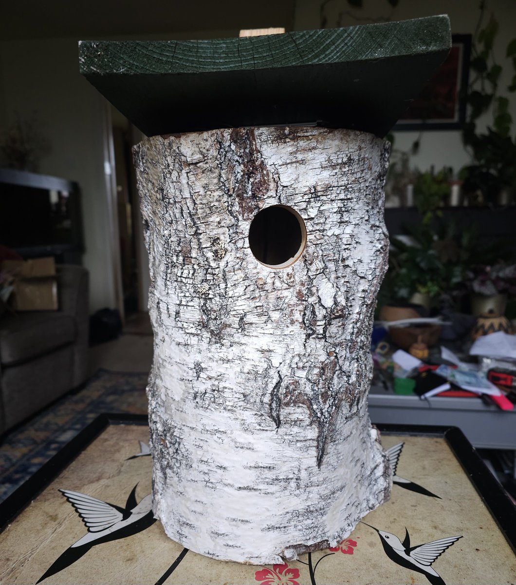 MarkSmyth1960's tweet photo. Some measurements for the vertical log I put up for swifts
Internal diameter
14cm 5.5 inches
Drop to the nest
28cm 11 inches
Entrance
40mm 1.5 inches
#apusapus #commonswift #actionforswifts #swiftconservation #saveourswifts #swiftconservationireland #northernirelandswifts https://t.co/vX0DDXRgqY
