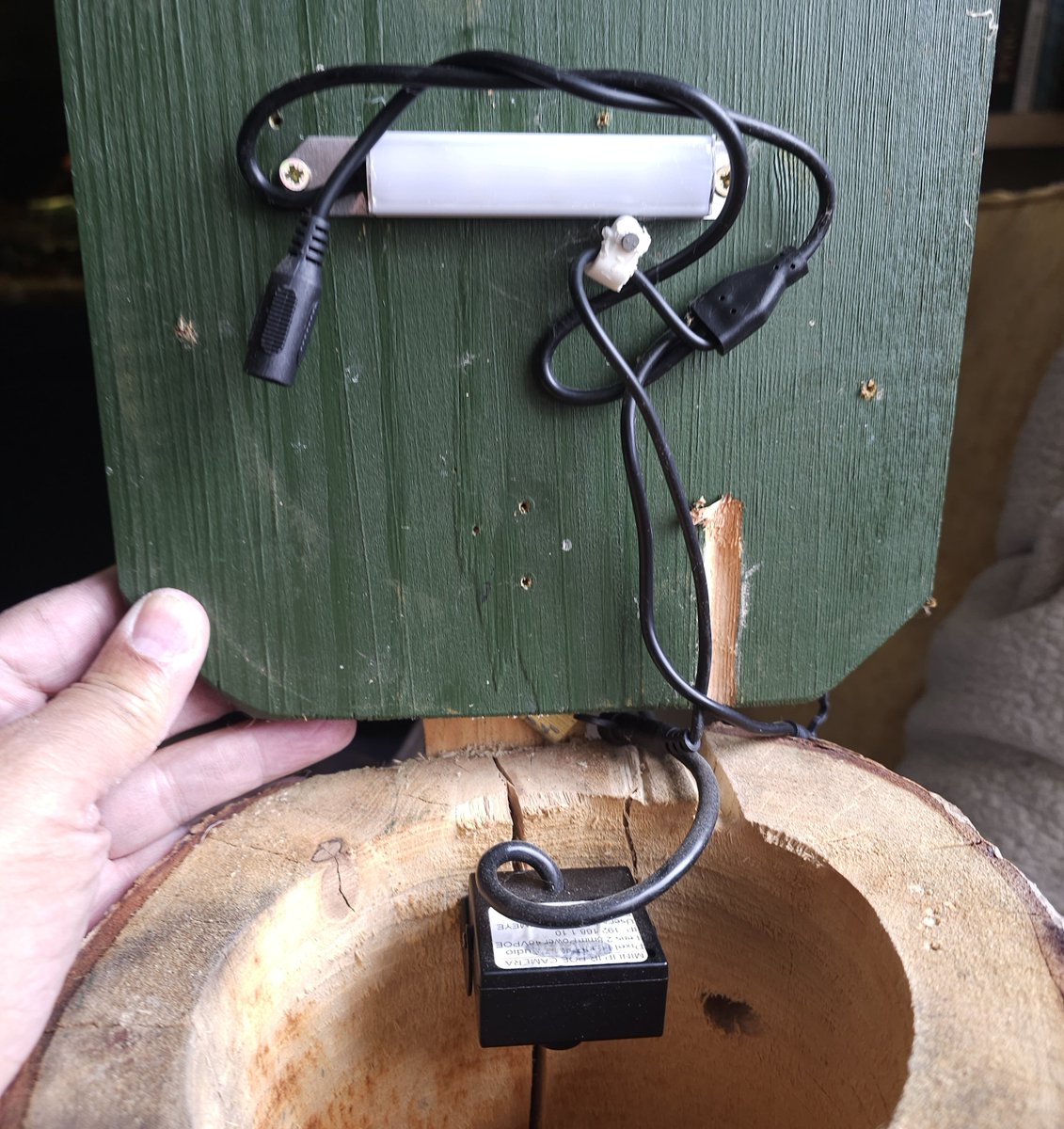 MarkSmyth1960's tweet photo. Some measurements for the vertical log I put up for swifts
Internal diameter
14cm 5.5 inches
Drop to the nest
28cm 11 inches
Entrance
40mm 1.5 inches
#apusapus #commonswift #actionforswifts #swiftconservation #saveourswifts #swiftconservationireland #northernirelandswifts https://t.co/vX0DDXRgqY