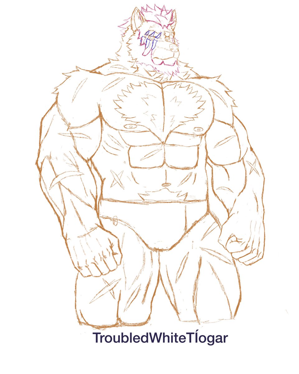 tiogar_white's tweet photo. MEET MY NEW CHARACTER! Fink is a troublesome rouge wolf, leader of a gang and Toujou’s love interest #sketch #furryartist #furryoc #furryart #wip https://t.co/33YqF6tLgT