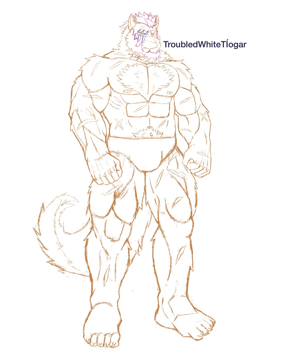 tiogar_white's tweet photo. MEET MY NEW CHARACTER! Fink is a troublesome rouge wolf, leader of a gang and Toujou’s love interest #sketch #furryartist #furryoc #furryart #wip https://t.co/33YqF6tLgT