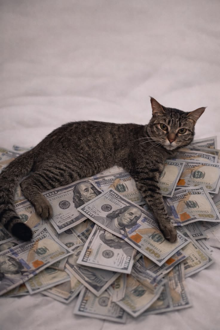 symbolofcrypto's tweet photo. gm

it costs $0 to say it back ☀️ https://t.co/OQ6GLcj92i