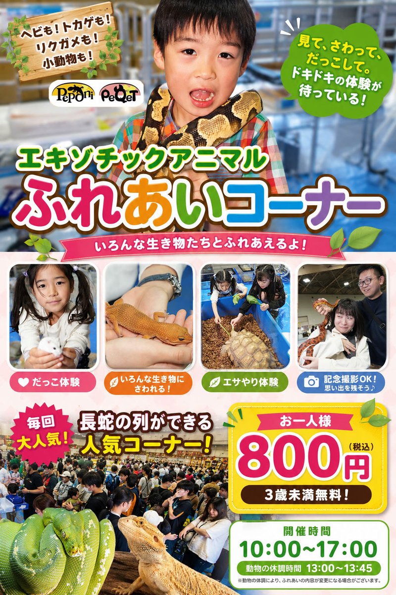 niirepjp's tweet photo. 来月に迫りました！新潟レプタイルズワールド(ニイレプ、新潟レプ)のイベントページを公開しました♪ワクワクするイベントが盛りだくさん！10月の24日、25日は朱鷺メッセへ！ただいま前売りチケット販売中です☆

#新潟レプ　#ニイレプ　#新潟レプタイルズワールド　#爬虫類　#キョーリン　#レオパ https://t.co/cCj58IRTDH