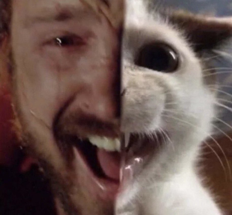 chasachad's tweet photo. J’ai oublié mes clés je suis enfermé devant la porte et y’a mon chat qui vient de me rejoindre lui aussi il en peut plus il veut ses croquettes on est comme ça à la porte https://t.co/my9jh7Ym4O