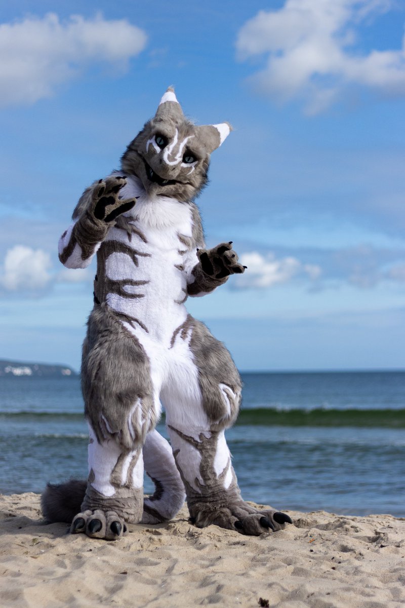 KiesellDave's tweet photo. Happy #FursuitFriday from Rügen Germany 🤗

📸 @Shiryuakai
#rfc9 #furry #sergal https://t.co/EvVhCaXk6T